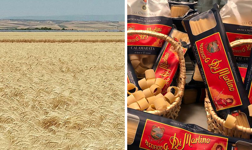 ディ マルティーノ 小麦畑と各種商品