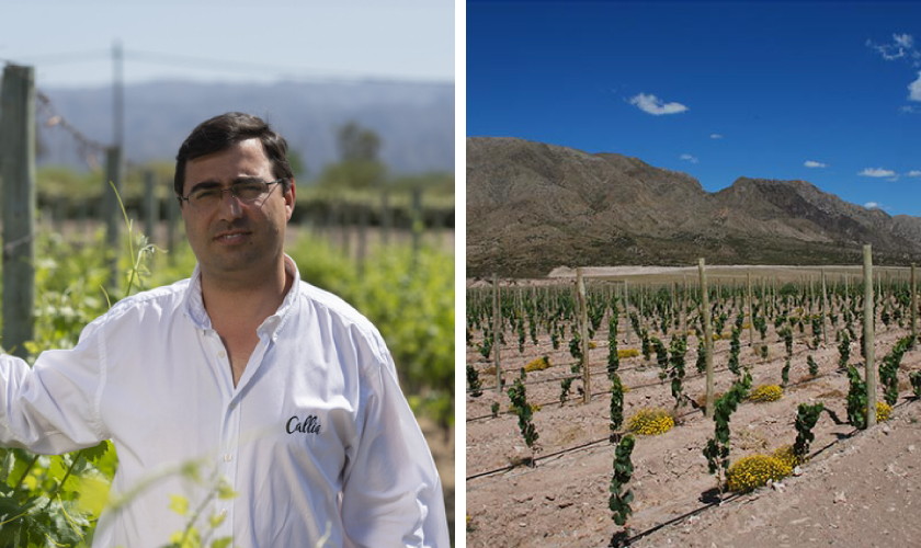 ボデガス カリア MPワインズのオーナー“ポン・ファミリー”とブドウ畑