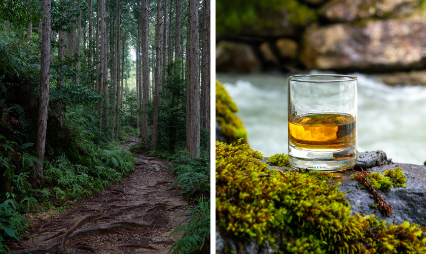 シーウィングス　熊野の風景とウイスキーグラス