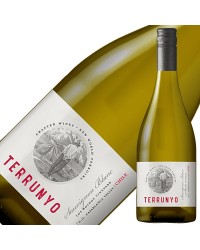 コンチャ イ トロ テルーニョ ソーヴィニヨンブラン 2019 750ml 白ワイン チリ