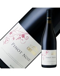 カーブドッチ ピノ ノワール 2019 750ml 赤ワイン 日本ワイン