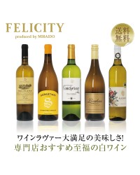 【17】専門店が選ぶ 至福の白ワイン 5本セット 第19弾 750ml×5 飲み比べ 白 ワイン セット 包装不可