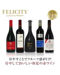 【1】豊かで深みのある 春の赤ワイン5本セット 第1弾 750ml×5 飲み比べ 赤 ワイン セット