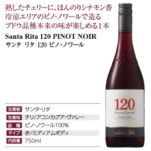 サンタ リタ  120（シェント ベインテ） ピノ ノワール 2017 750ml | 酒類の総合専門店 フェリシティー お酒の通販サイト