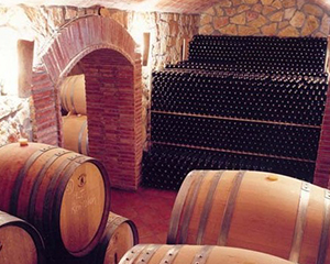 セリェール ピニョル ワイン貯蔵庫