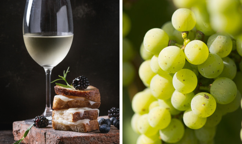 ヴァインハウス シュロス コブレンツ グラスワインと食事とブドウ