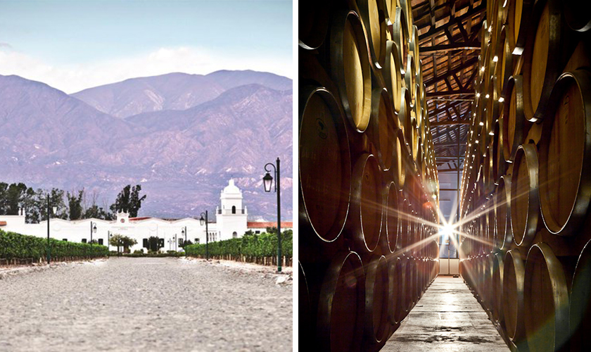 ボデガ エル エステコ ワイナリー建物と山とワイン蔵