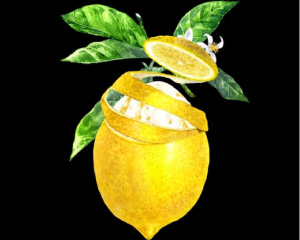 アサヒ ザ レモンクラフト 5重檸檬