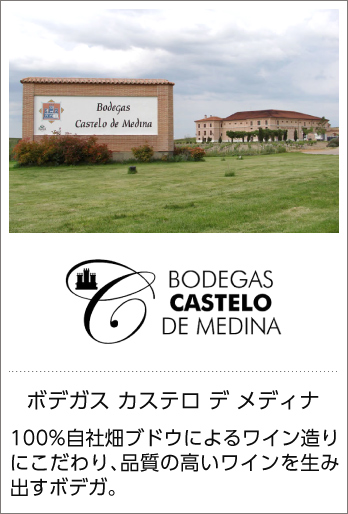 ボデガス カステロ デ メディア
