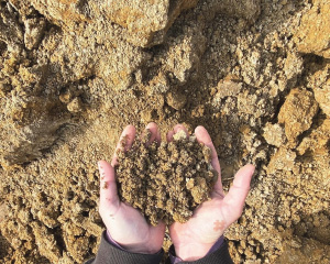 ドゥルト 土壌