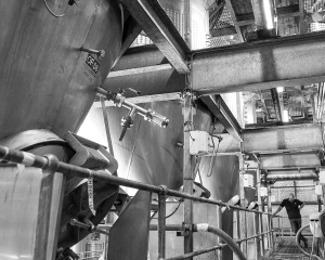 フォックス クリーク 多くの小さなステンレス鋼タンクと高架開放発酵槽