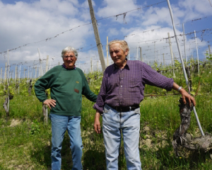グラッソ フラテッリ ブドウ畑の中に立つ2人の男性