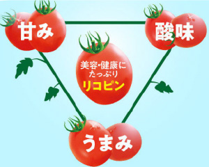 伊藤園 理想のトマト リコピン