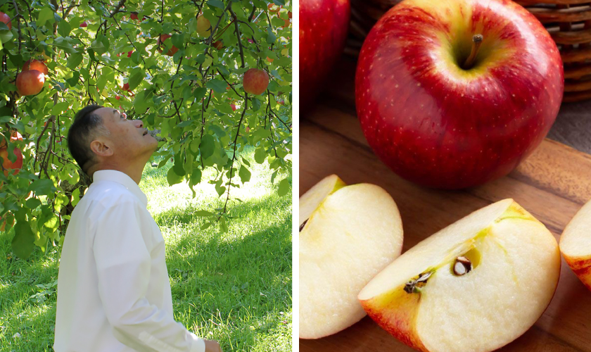 鴻巣果樹園（飛騨産りんごジュース） 男性とリンゴ