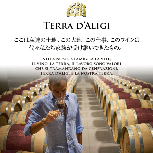 イタリア産ワイン テッラ ダリージ ラ テッサ ビアンコ マグナム 1500ml
