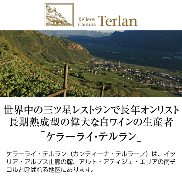 テルラン（テルラーノ）  ピノ ビアンコ 2021 750ml  白ワイン ピノ ブラン イタリア | 酒類の総合専門店 フェリシティー お酒の通販サイト