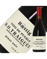 ベティッグ ヴィーノ デ プエブロ ピノ ノワール 2022 750ml 赤ワイン チリ