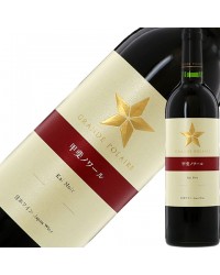 グランポレール 甲斐ノワール 2020 750ml 赤ワイン 日本ワイン
