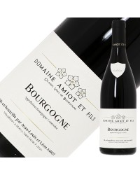 ドメーヌ ピエール アミオ エ フィス ブルゴーニュ ピノ ノワール 2020 750ml 赤ワイン フランス ブルゴーニュ