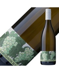 ヴィラデストワイナリー ソーヴィニヨン ブラン 2020 750ml 白ワイン 日本ワイン