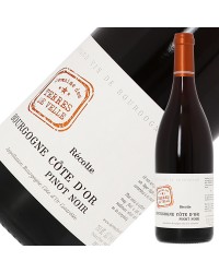 ドメーヌ デ テール ドゥ ヴェル ブルゴーニュ ピノノワール 2021 750ml 赤ワイン フランス ブルゴーニュ