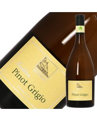 テルラン（テルラーノ） ピノ グリージョ 2021 750ml イタリア 白ワイン