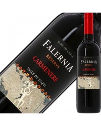 ビーニャ（ヴィーニャ） ファレルニア カルムネール レゼルバ 2019 750ml 赤ワイン チリ