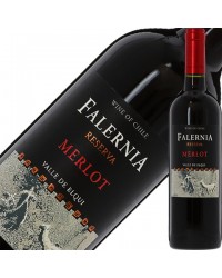 ビーニャ（ヴィーニャ） ファレルニア メルロー レゼルバ 2020 750ml 赤ワイン チリ