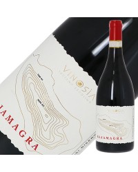 ヴィノジア タウラジ（タウラージ） リゼルヴァ ラヤマグラ 2016 750ml 赤ワイン アリアニコ イタリア