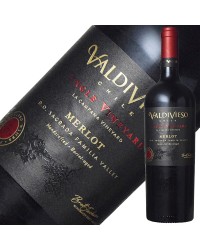 バルディビエソ シングル ヴィンヤード サグラダ ファミリア メルロー レゼルバ 2020 750ml 赤ワイン チリ