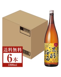 アサヒ 濃醇梅酒 10度 五年熟成梅酒一部使用 とろっと熟成 瓶 1800ml（1.8L） 6本 1ケース 梅酒 リキュール 国産 asahi
