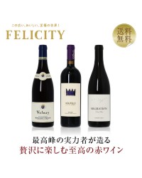 【10】贅沢に楽しむ 至高の赤ワイン 3本セット 第16弾 750ml×3 飲み比べ 赤 ワイン セット
