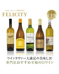 【17】専門店が選ぶ 至福の白ワイン 5本セット 第16弾 750ml×5 飲み比べ 白 ワイン セット 包装不可