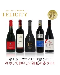 【1】豊かで深みのある 冬の赤ワイン5本セット 第2弾 750ml×5 飲み比べ 赤 ワイン セット wine wain