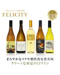 【2】クリーンな味わい 初夏の白ワイン 5本セット 第1弾 750ml×5 飲み比べ 白 ワイン セット