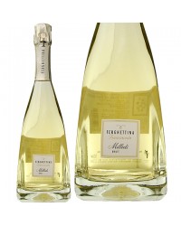 フェルゲッティーナ ミッレディ フランチャコルタ ブリュット 2019 正規 750ml スパークリングワイン イタリア 包装不可 6本まで1梱包