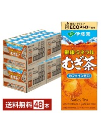 伊藤園 健康ミネラルむぎ茶 250ml 紙パック 24本×2ケース（48本）
