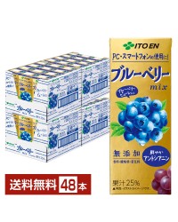 伊藤園 ブルーベリーmix ミックス 200ml 紙パック 24本×2ケース（48本）