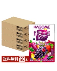 カゴメ 野菜生活 100 ベリーサラダ 100ml 紙パック 30本×4ケース（120本）