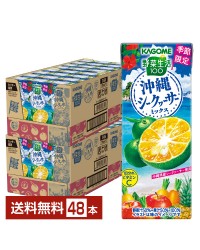 季節限定 カゴメ 野菜生活100 沖縄シークヮーサーミックス 195ml 紙パック 24本×2ケース（48本） シークワーサー 野菜ジュース