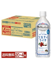 数量限定 熱中症対策飲料 キリン 世界のKitchenから ソルティライチ 500ml ペットボトル 5本+おまけ1本 24本（20本+おまけ4本） 1ケース