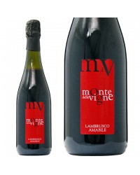 モンテ デッレ ヴィーニェ ランブルスコ アマービレ NV 750ml スパークリングワイン イタリア