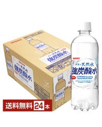 サンガリア 伊賀の天然水 強炭酸水 500ml ペットボトル 24本 1ケース