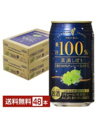 富永貿易 素滴しぼり 果汁１００％チューハイ白ブドウ 350ml 缶 24本×2ケース（48本）