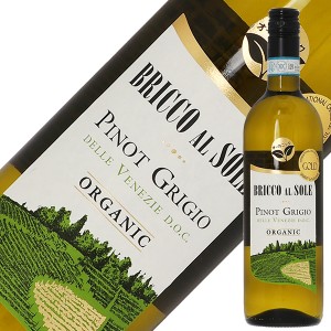 ブリッコ アル ソーレ ピノ グリージョ オーガニック 2022 750ml 白ワイン イタリア