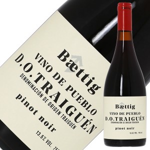 ベティッグ ヴィーノ デ プエブロ ピノ ノワール 2022 750ml 赤ワイン チリ