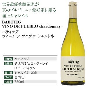 ベティッグ  ヴィーノ デ プエブロ シャルドネ 2021 750ml  白ワイン チリ | 酒類の総合専門店 フェリシティー お酒の通販サイト