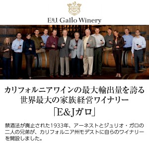 ガロ  カーニヴォ ジンファンデル 2019 750ml  赤ワイン アメリカ カリフォルニア | 酒類の総合専門店 フェリシティー お酒の通販サイト