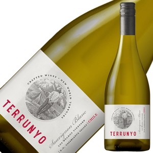 コンチャ イ トロ テルーニョ ソーヴィニヨンブラン 2020 750ml 白ワイン チリ