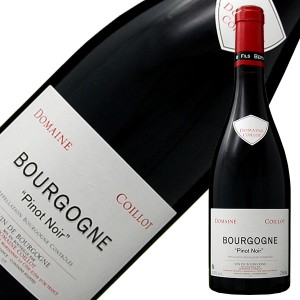 ドメーヌ コワイヨ ブルゴーニュ ルージュ 2021 750ml 赤ワイン ピノ ノワール フランス ブルゴーニュ